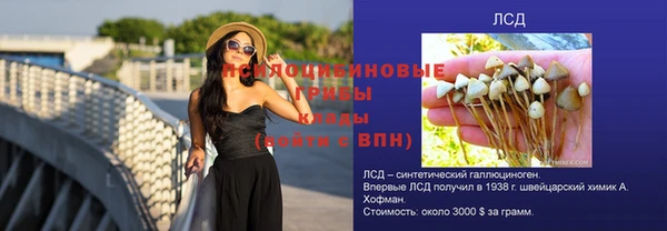 прущая мука Вязьма