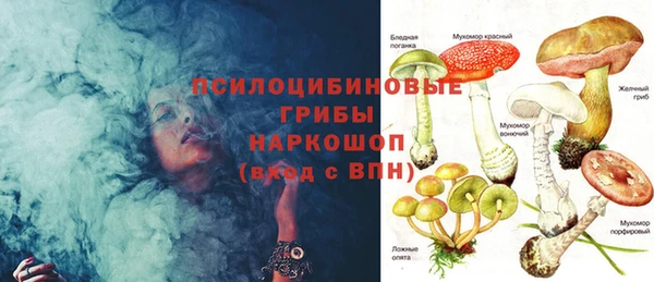 прущая мука Вязьма